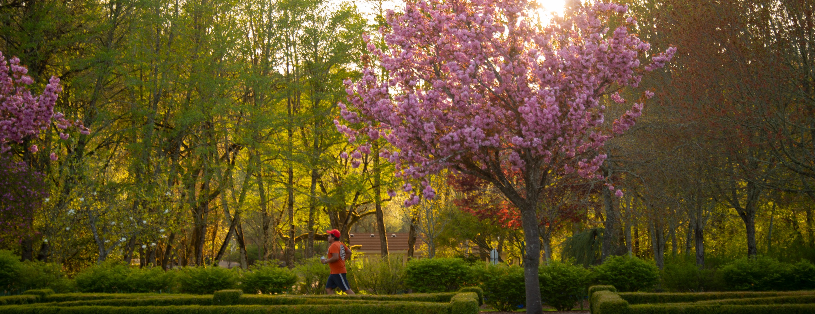 MLK Jr Park in Corvallis Oregon