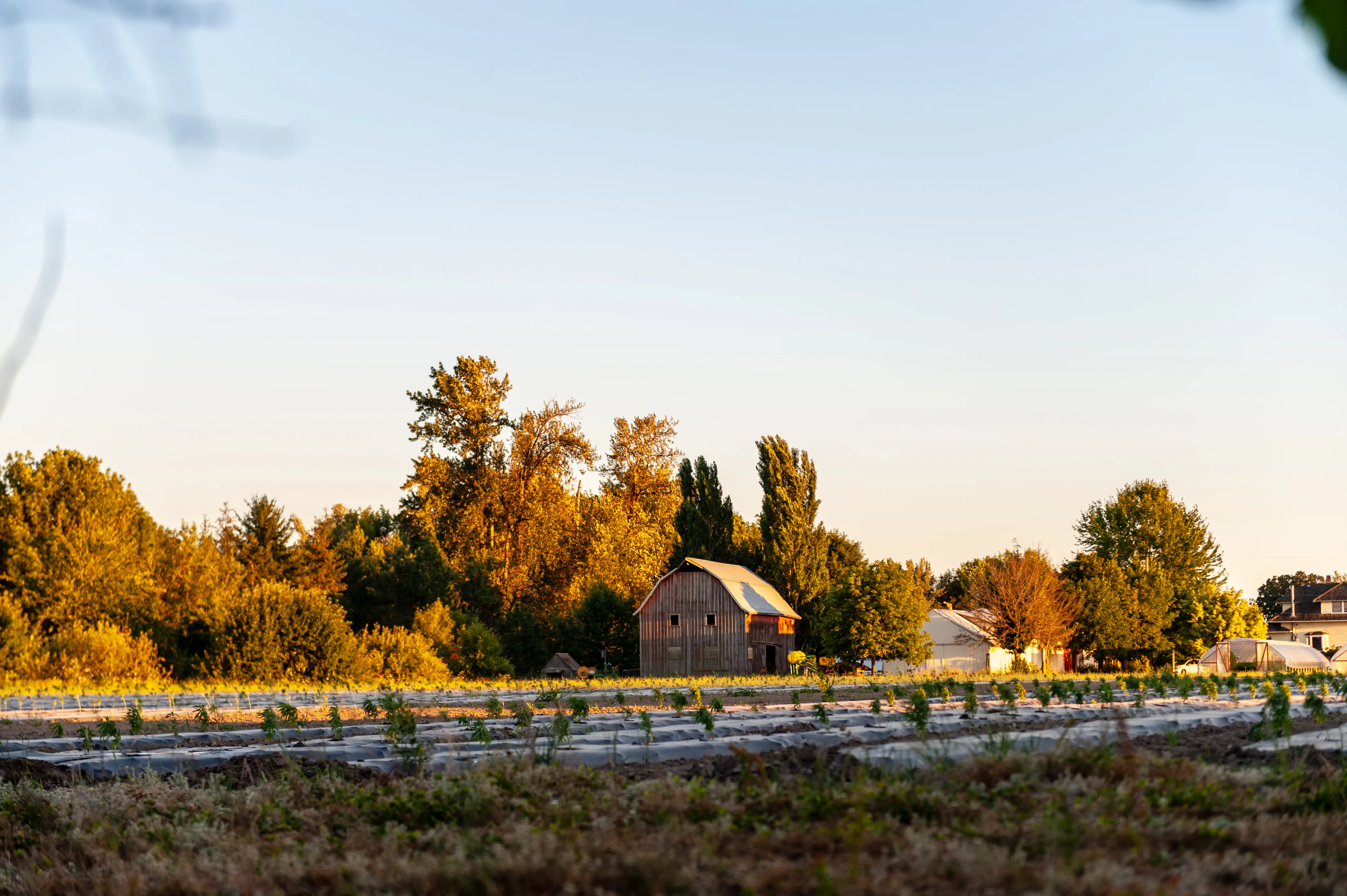 Albany, Oregon