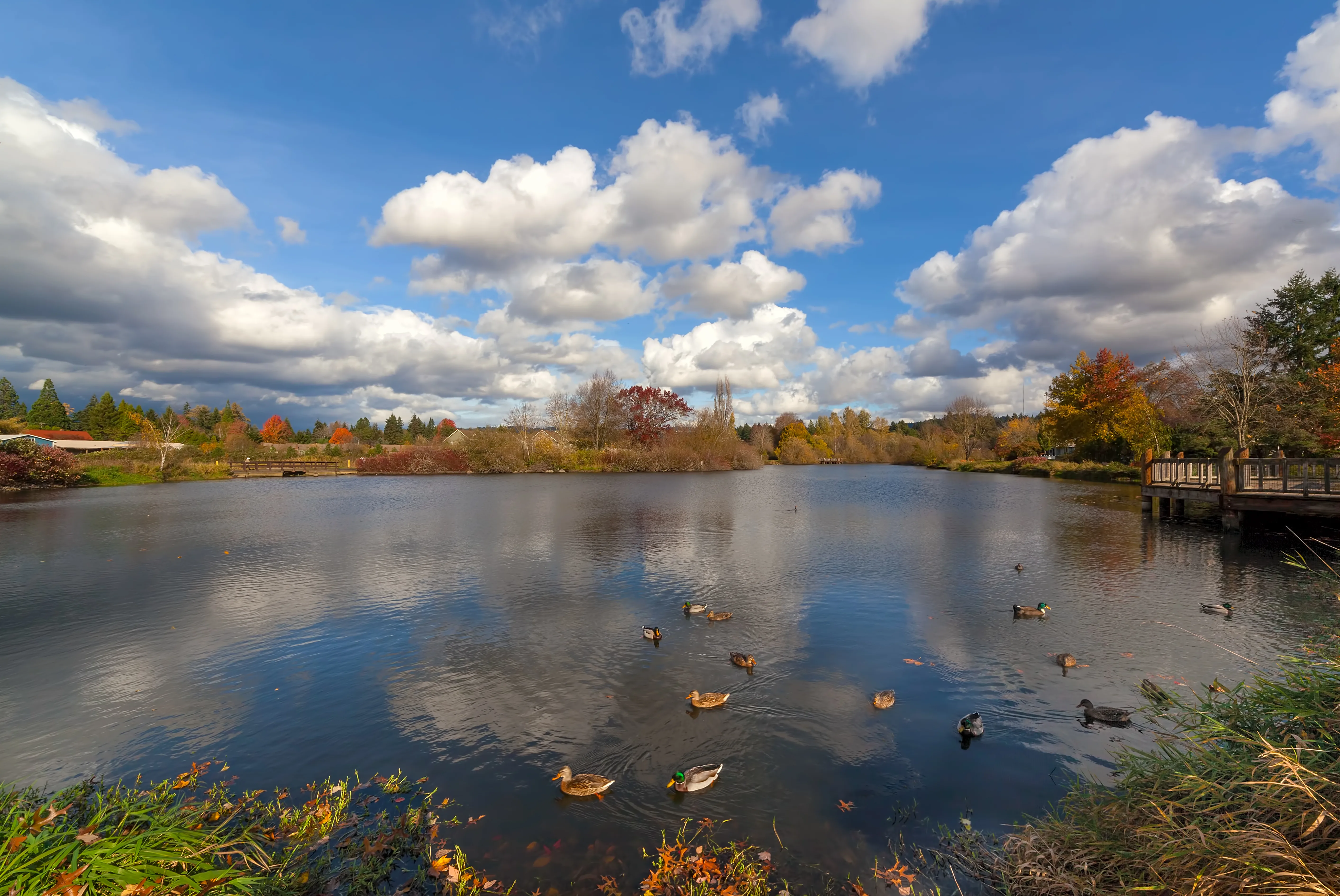 Beaverton, Oregon