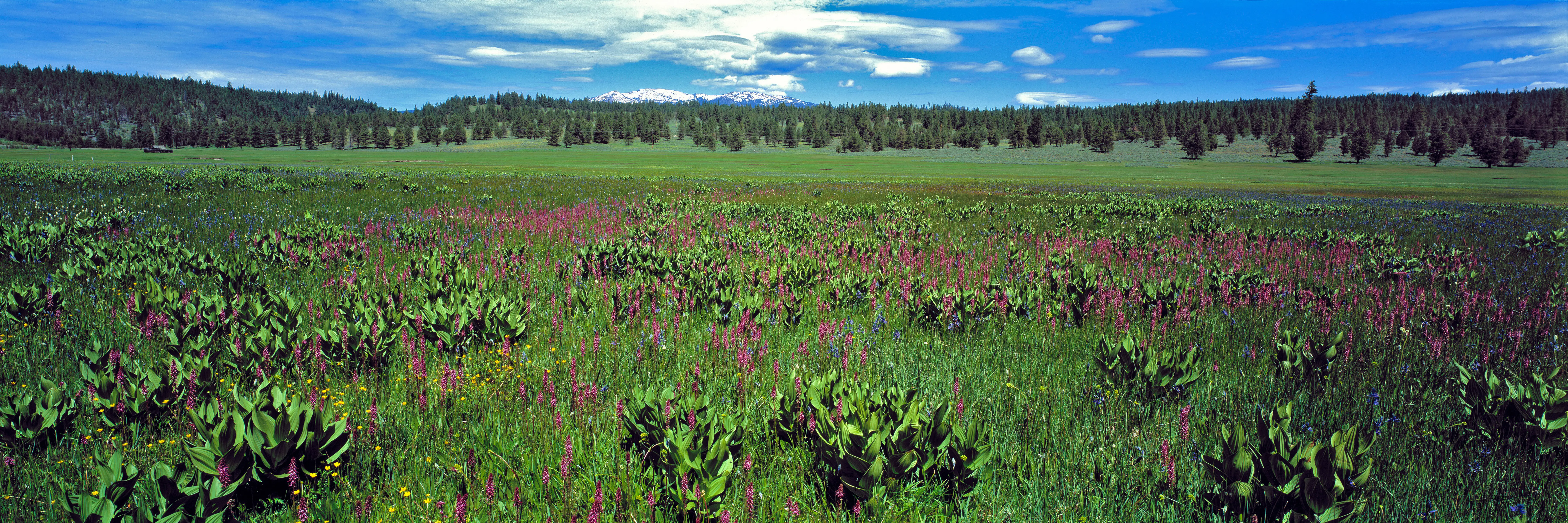 Burns, Oregon