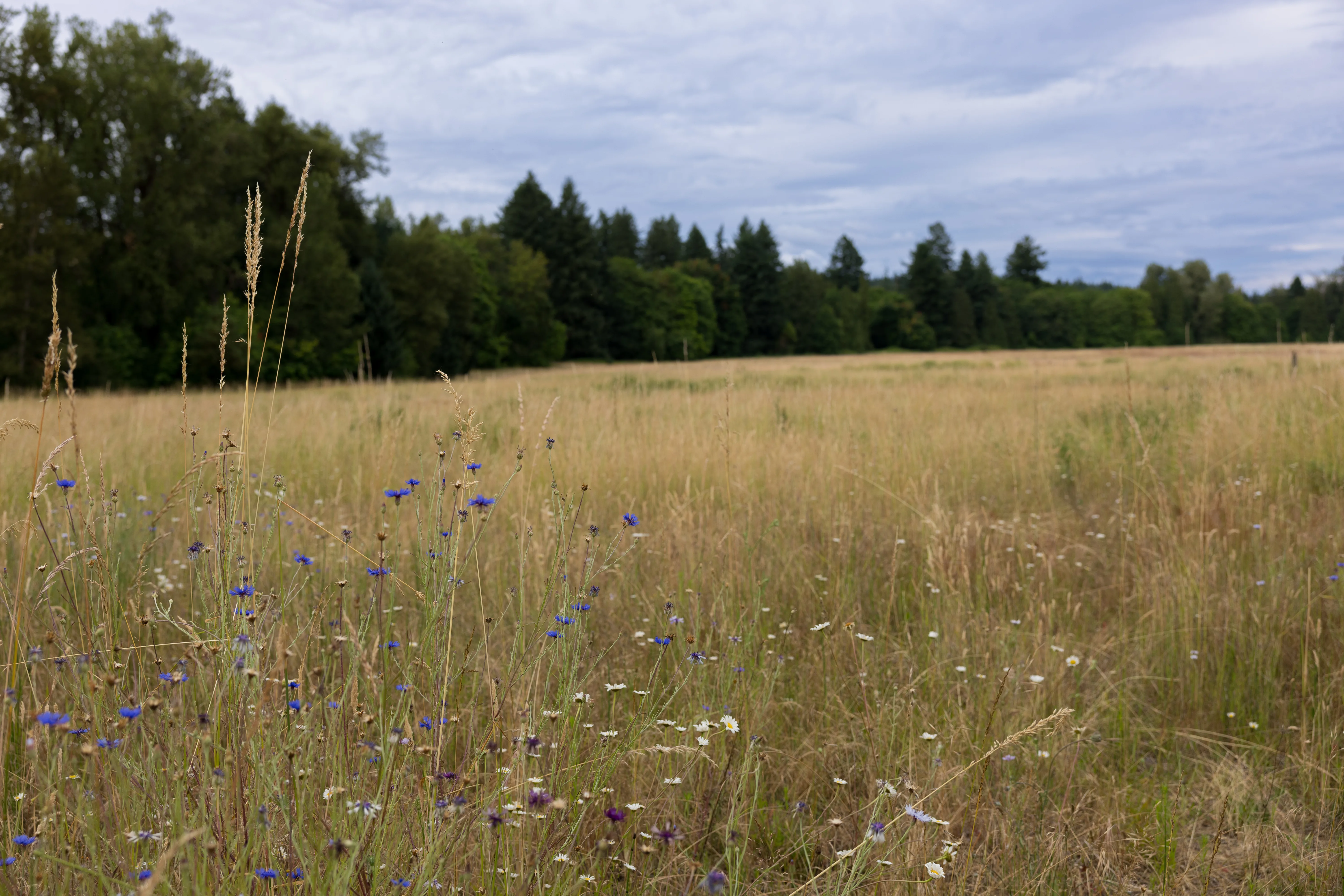 Canby, Oregon