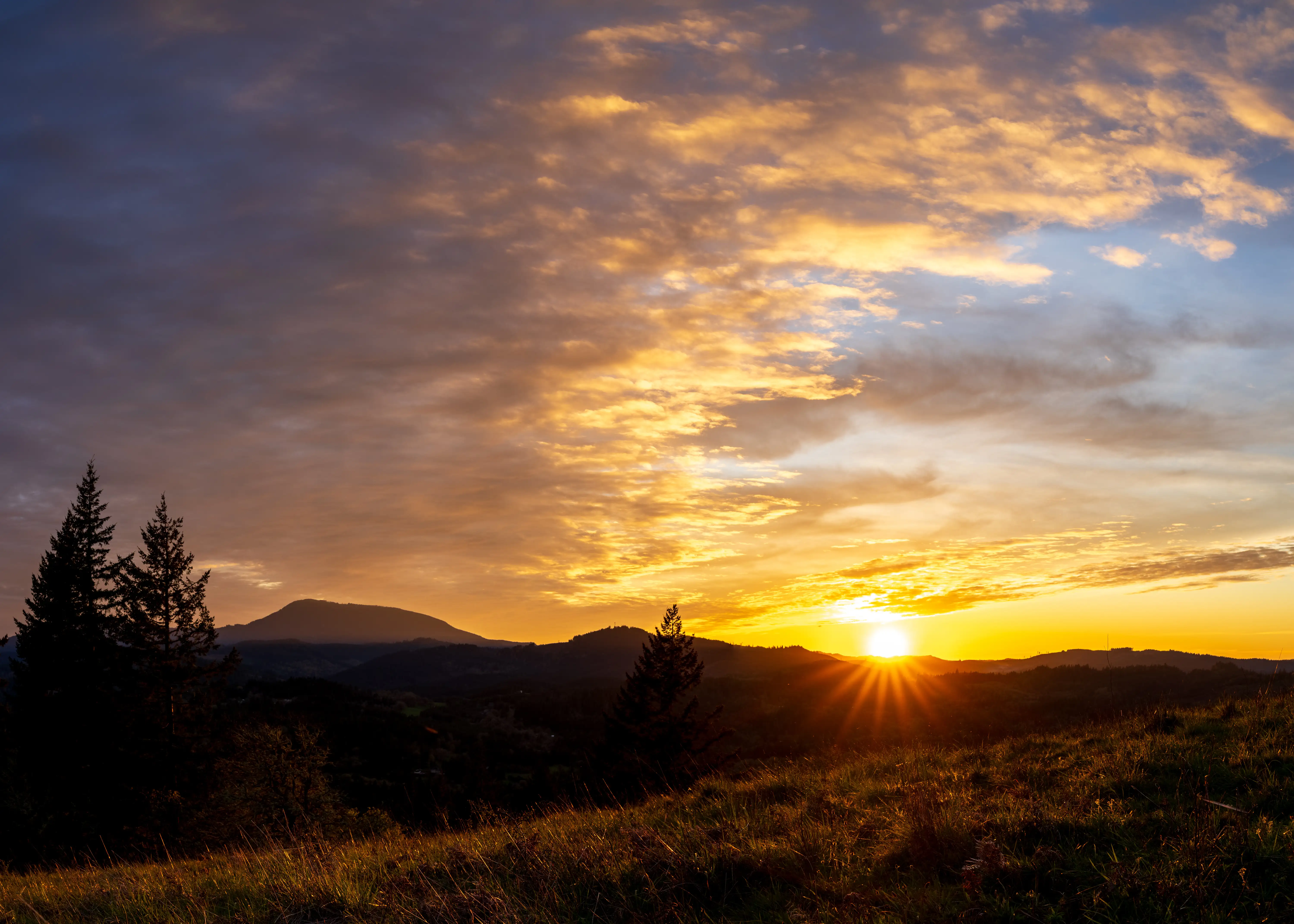 Corvallis, Oregon