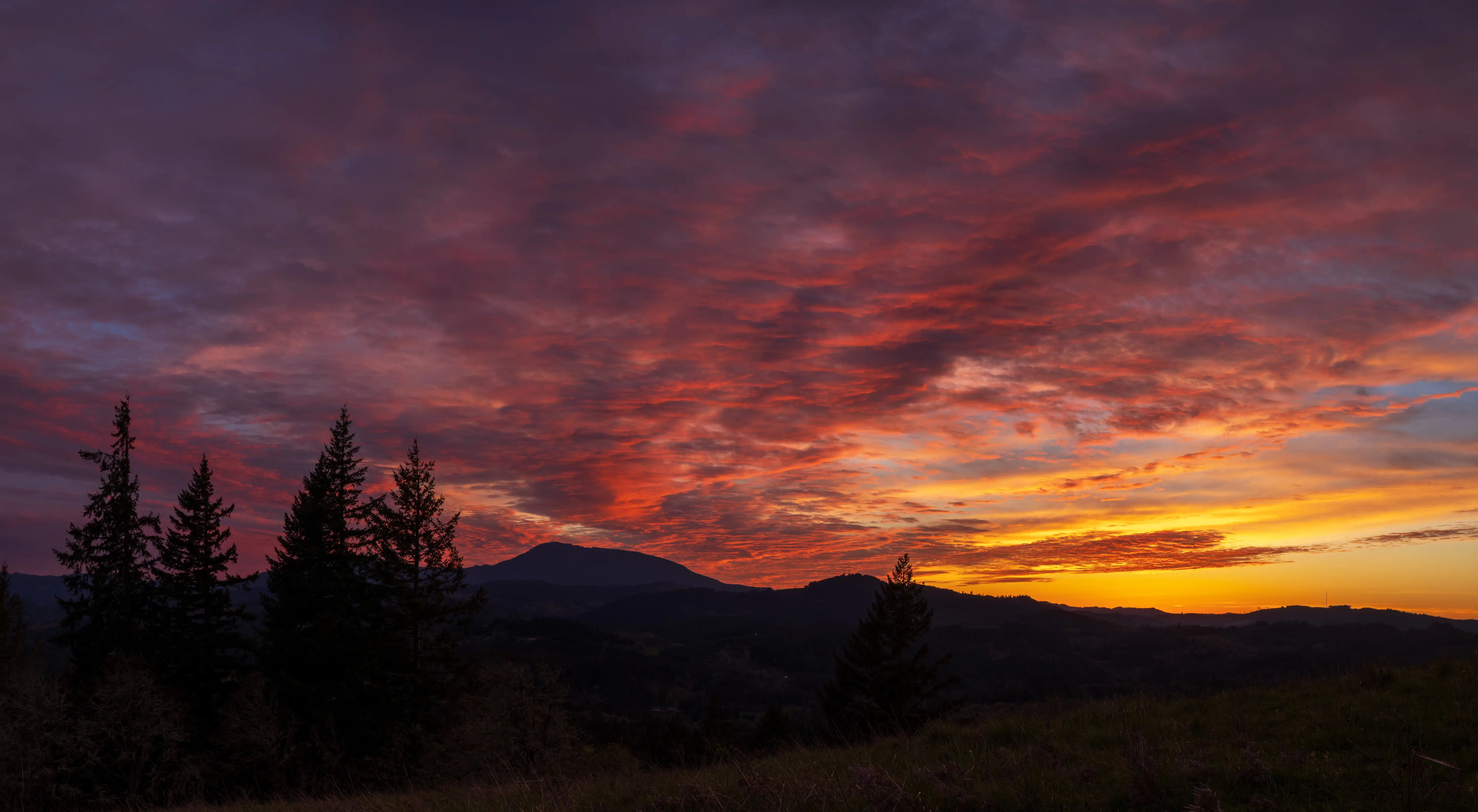 Corvallis, Oregon