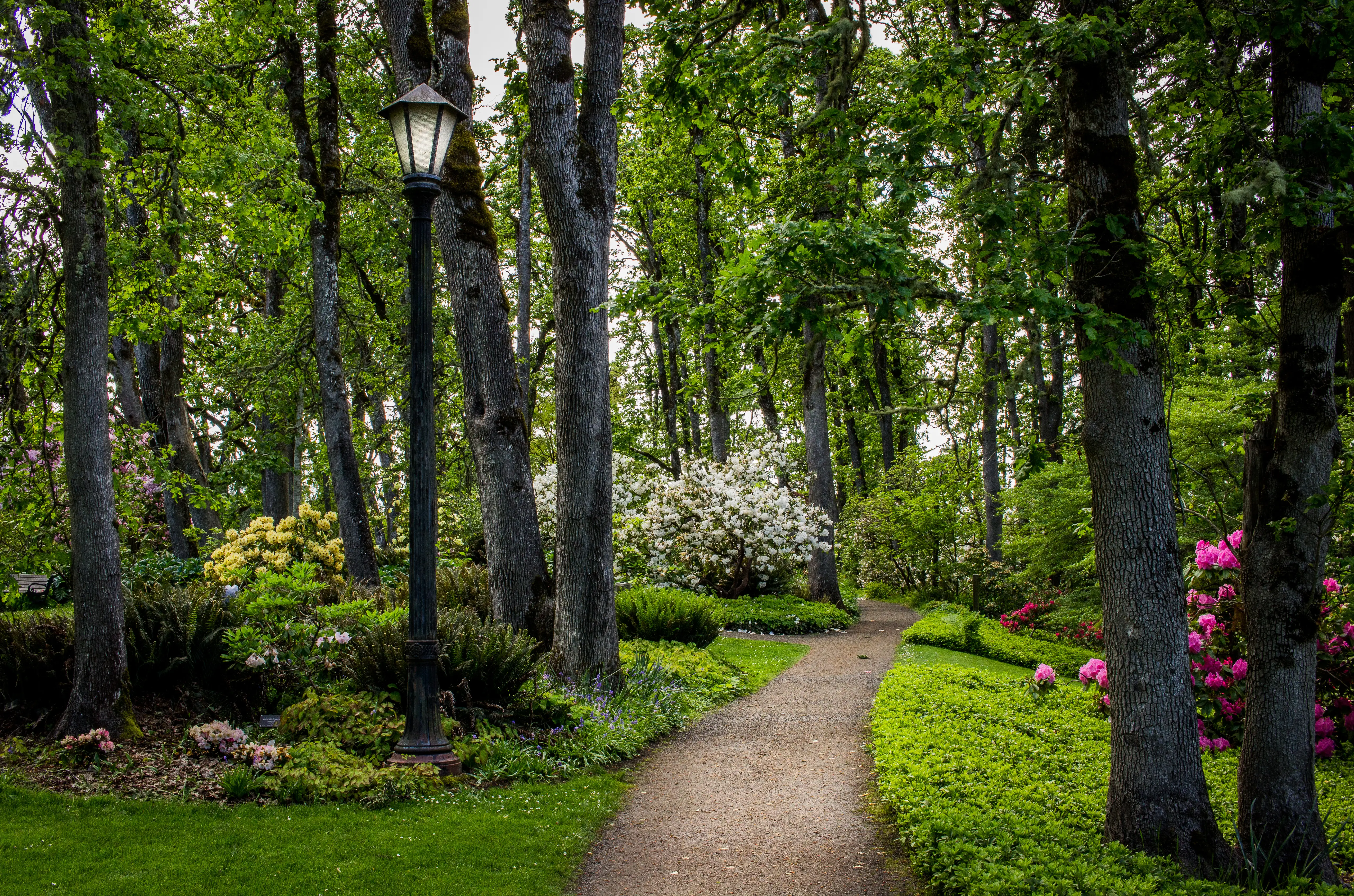 Eugene, Oregon