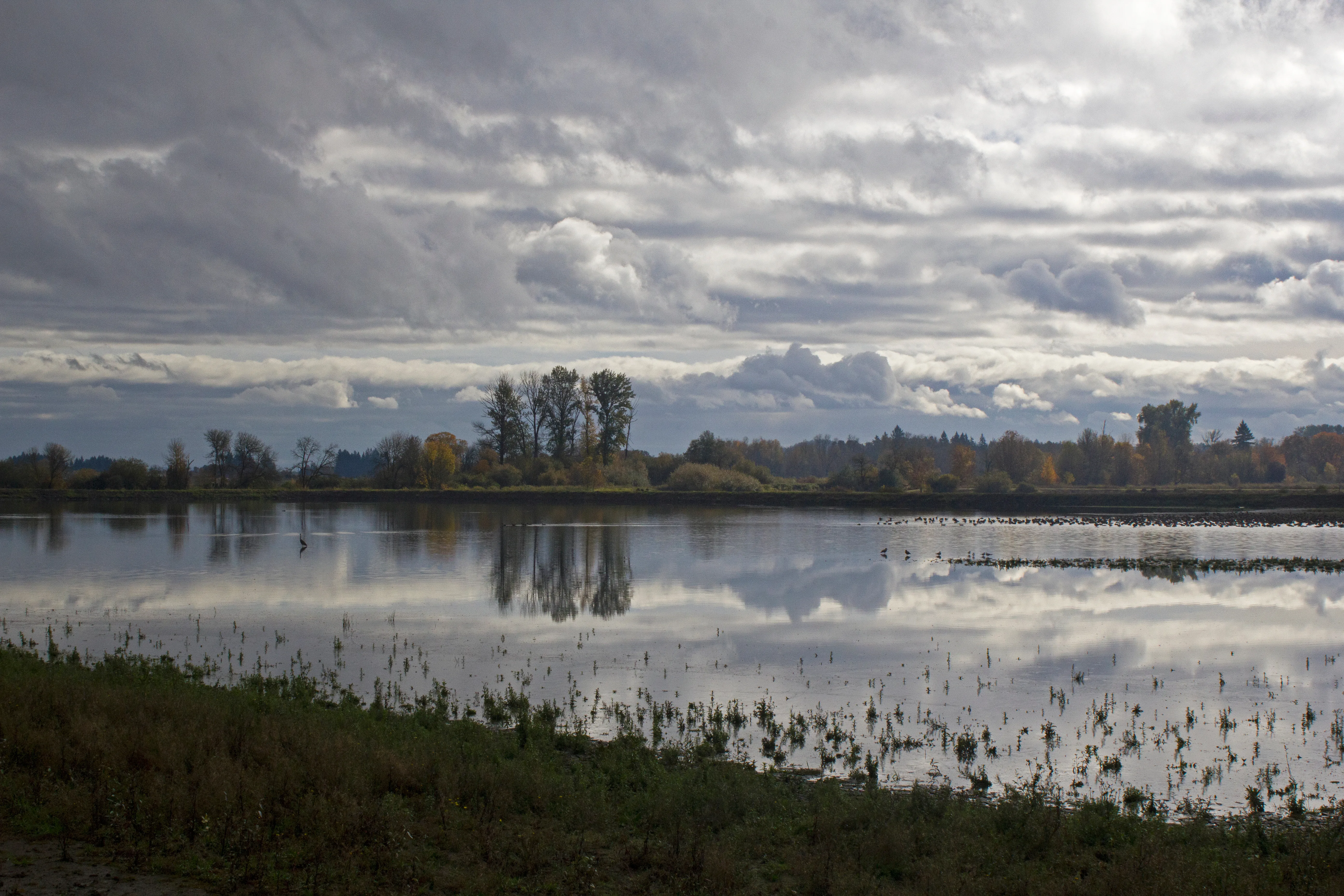 Forest Grove, Oregon