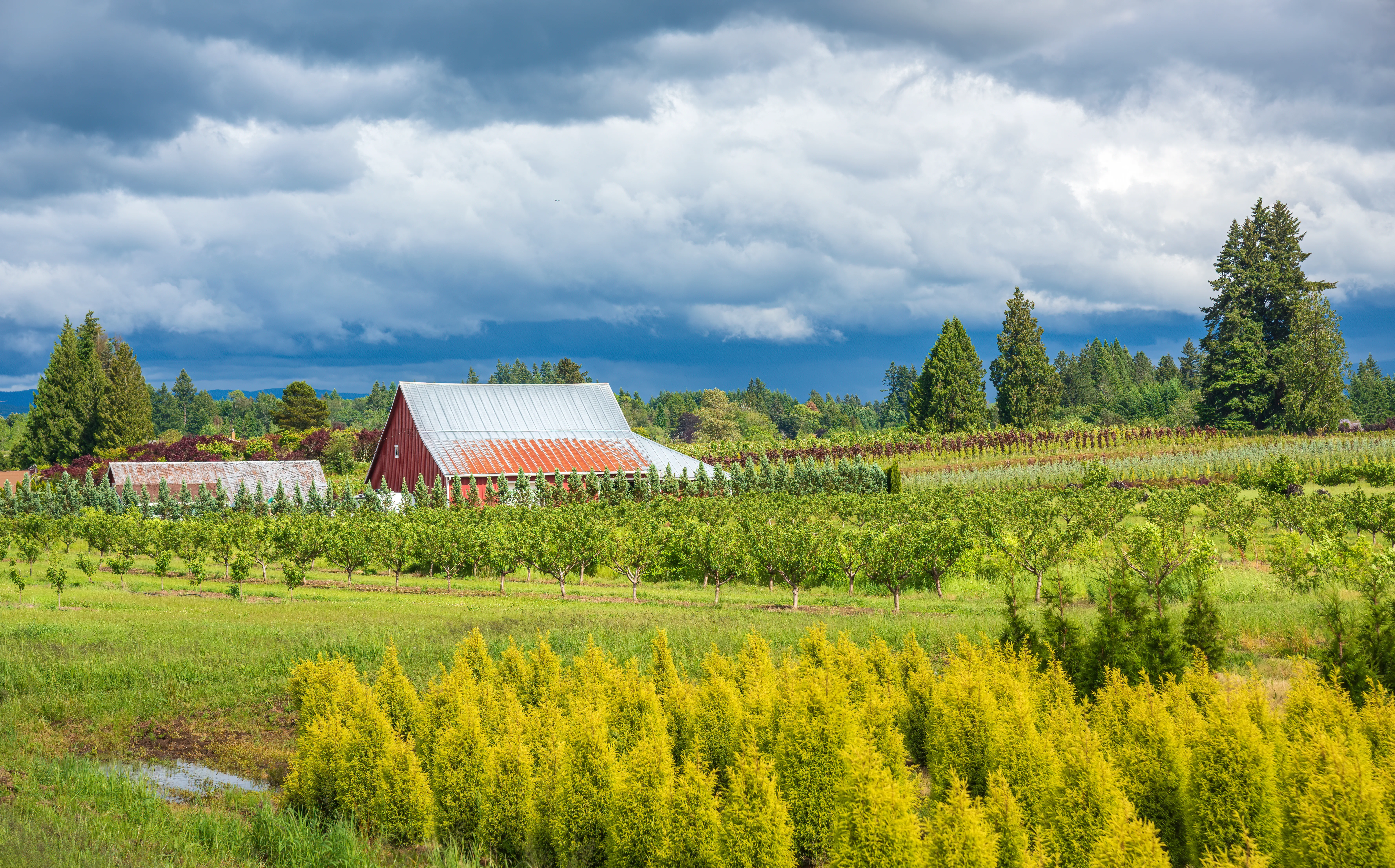 Forest Grove, Oregon