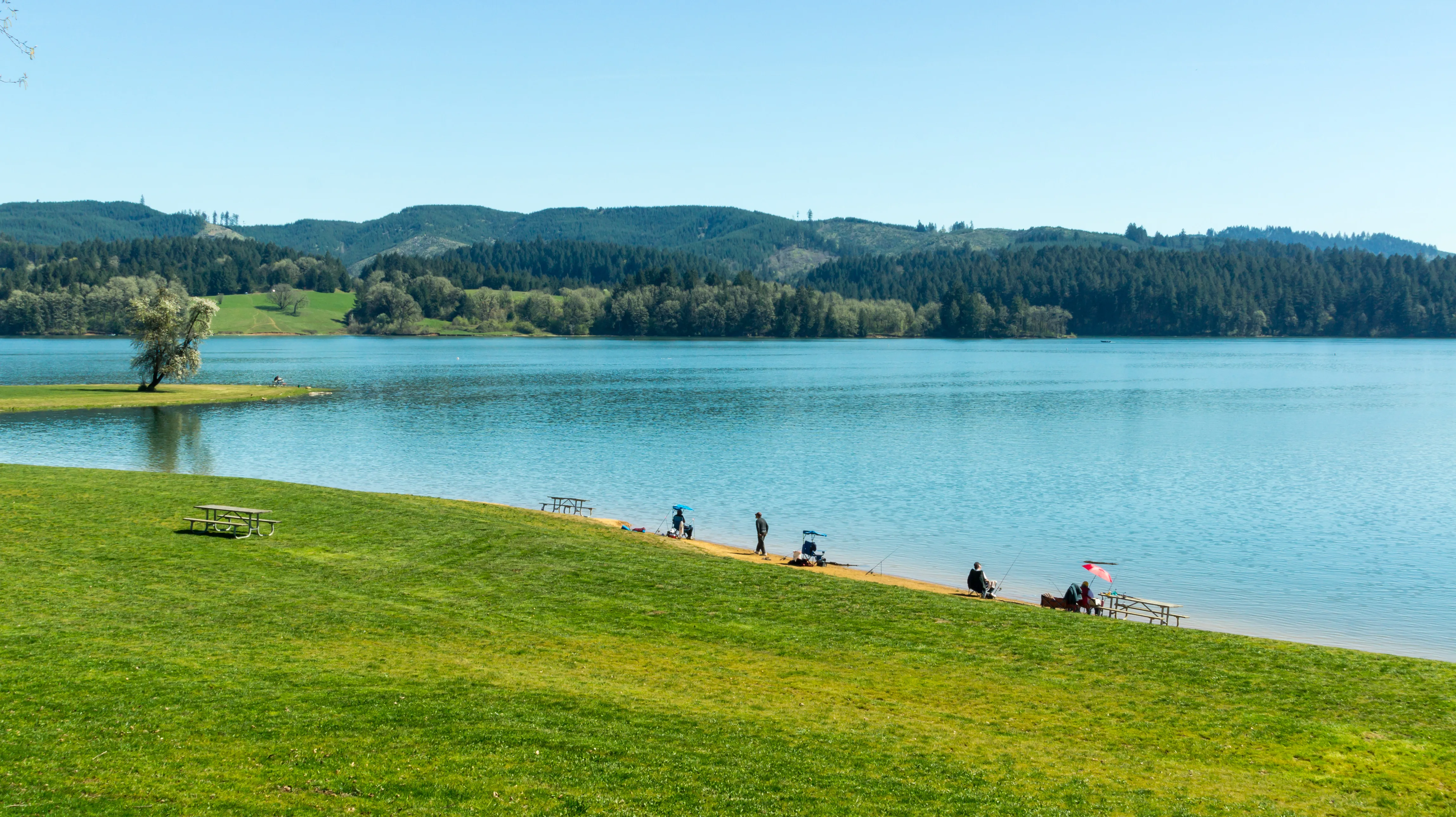 Forest Grove, Oregon