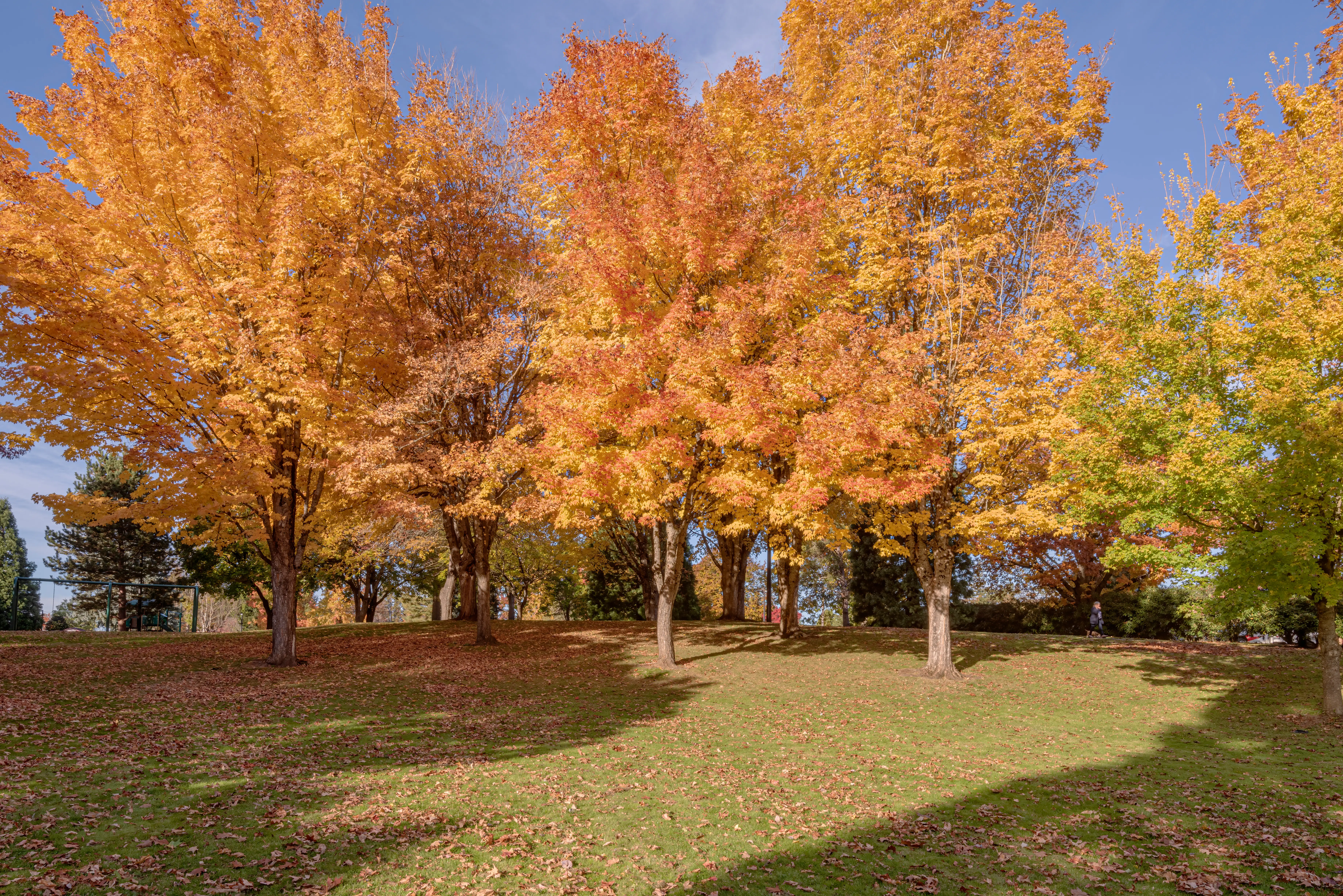 Gresham, Oregon