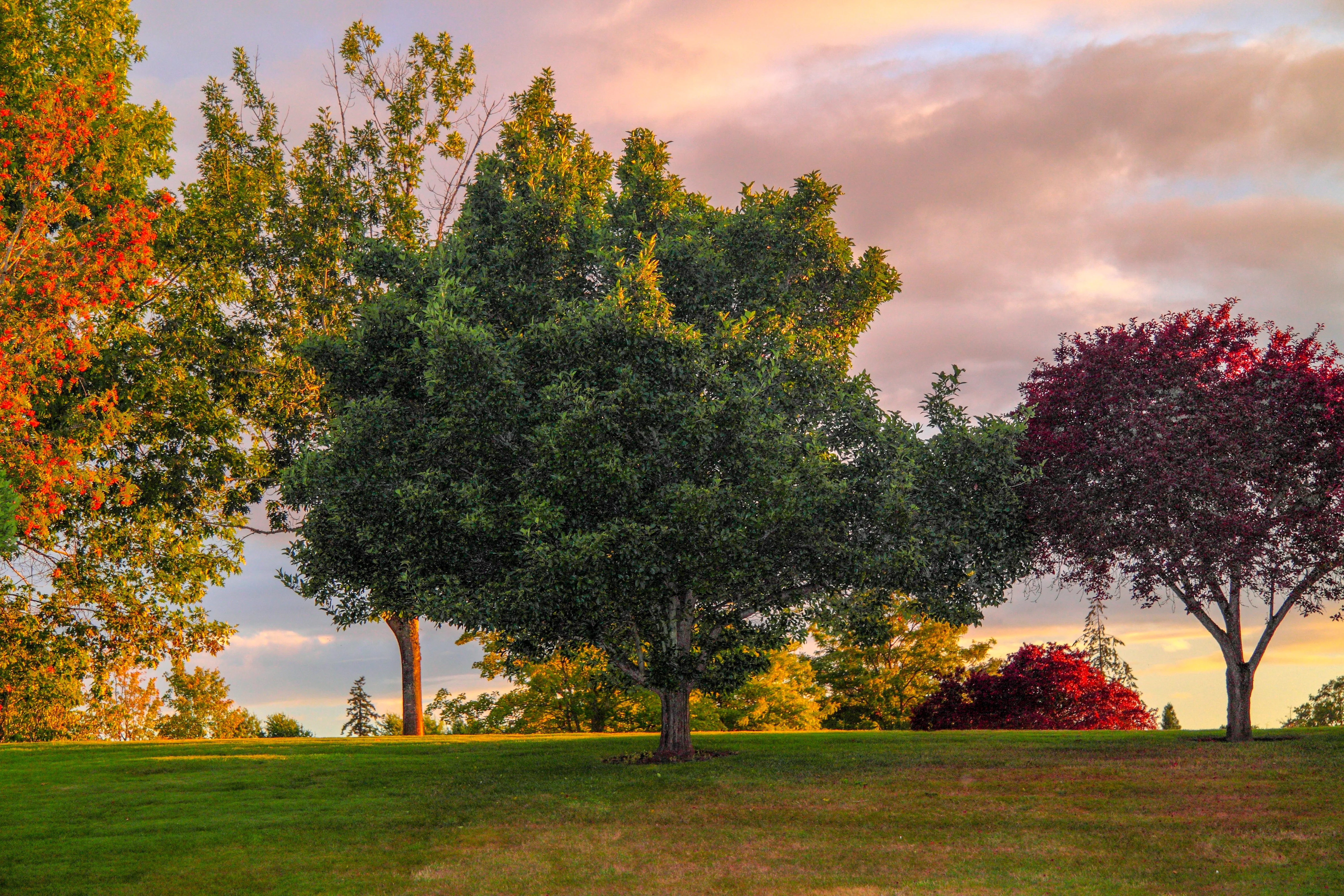 Hillsboro, Oregon