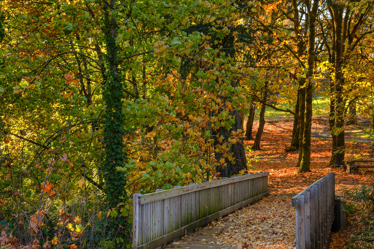 McMinnville Oregon wine country