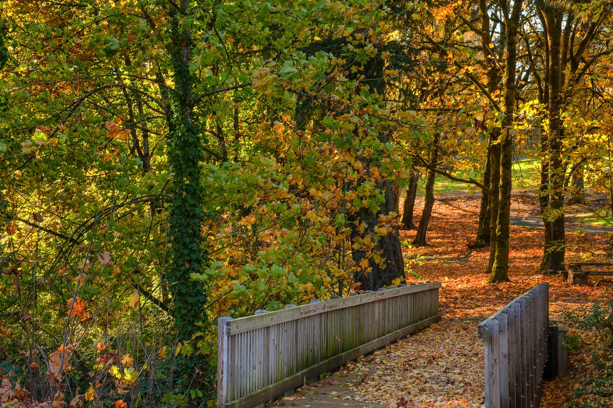 McMinnville Oregon wine country