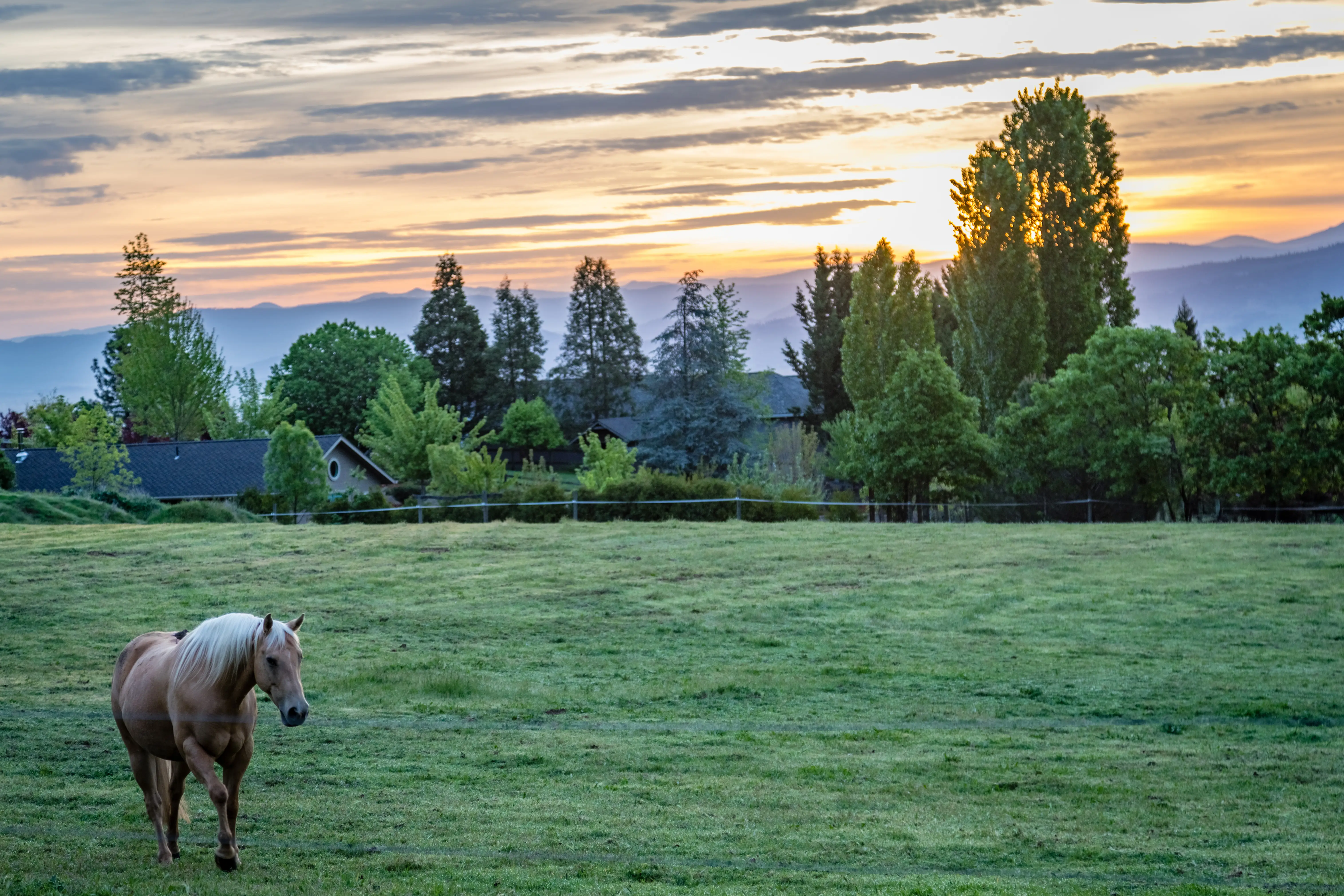 Jacksonville, Oregon