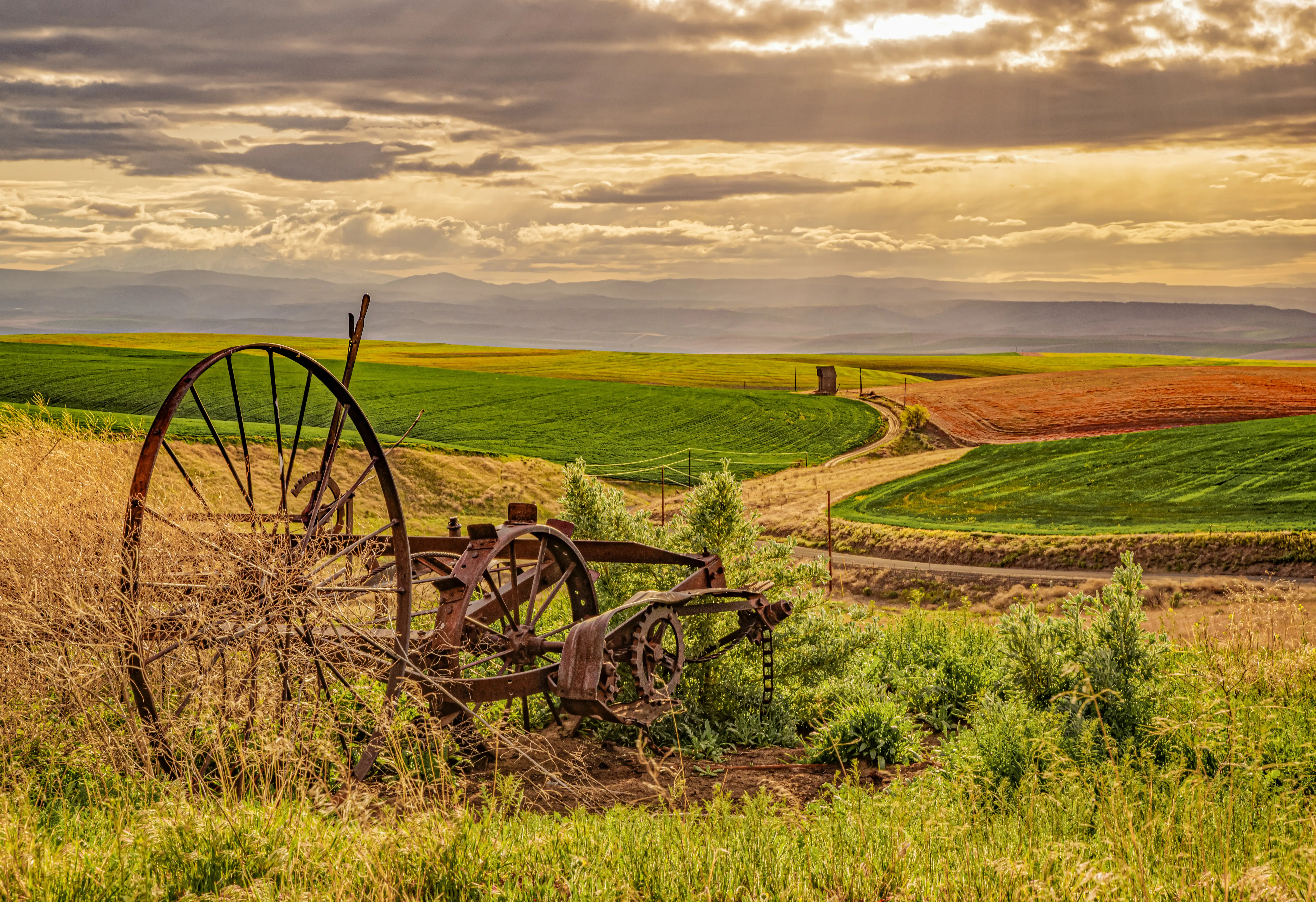 Junction City, Oregon