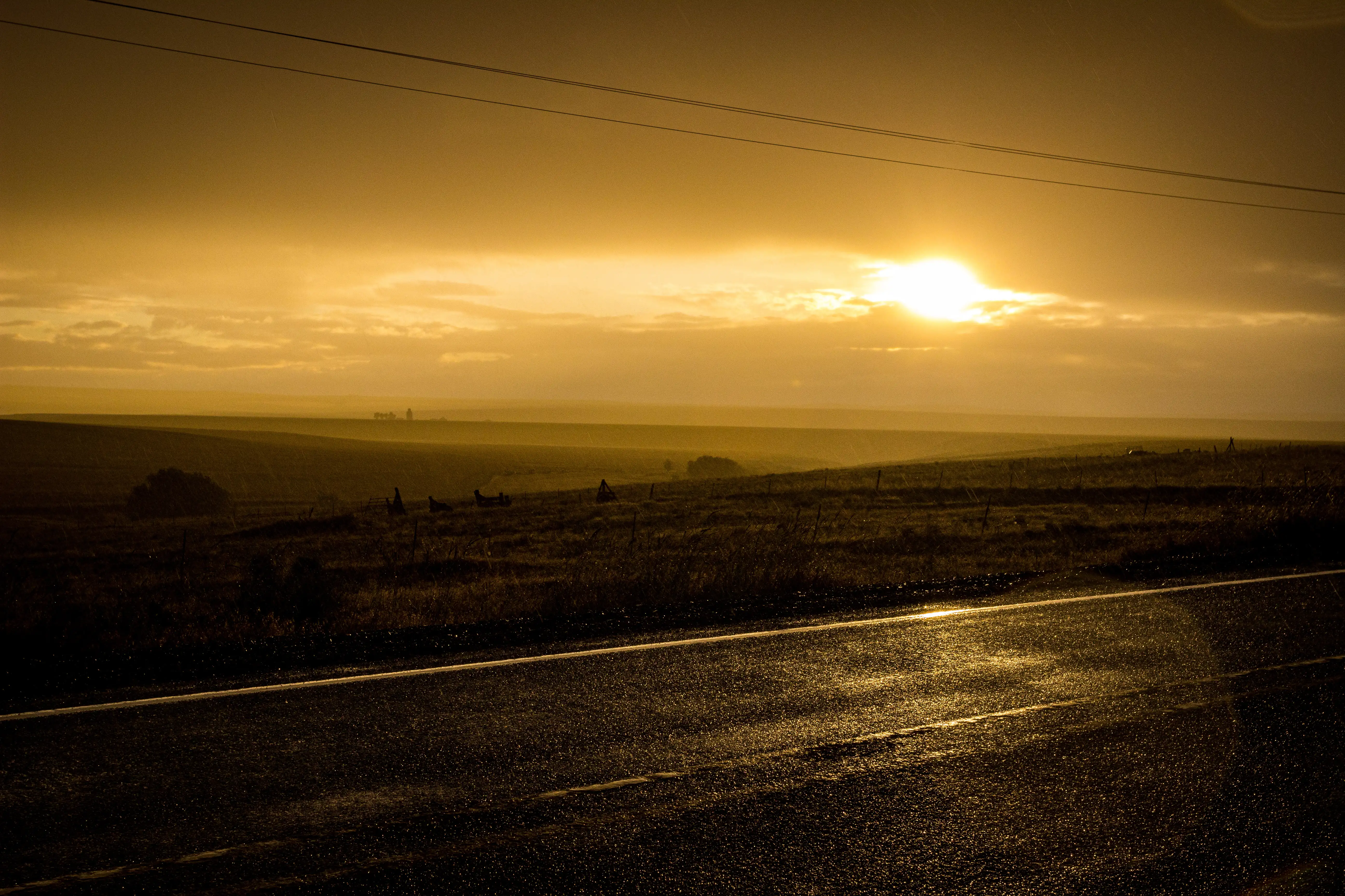 Junction City, Oregon