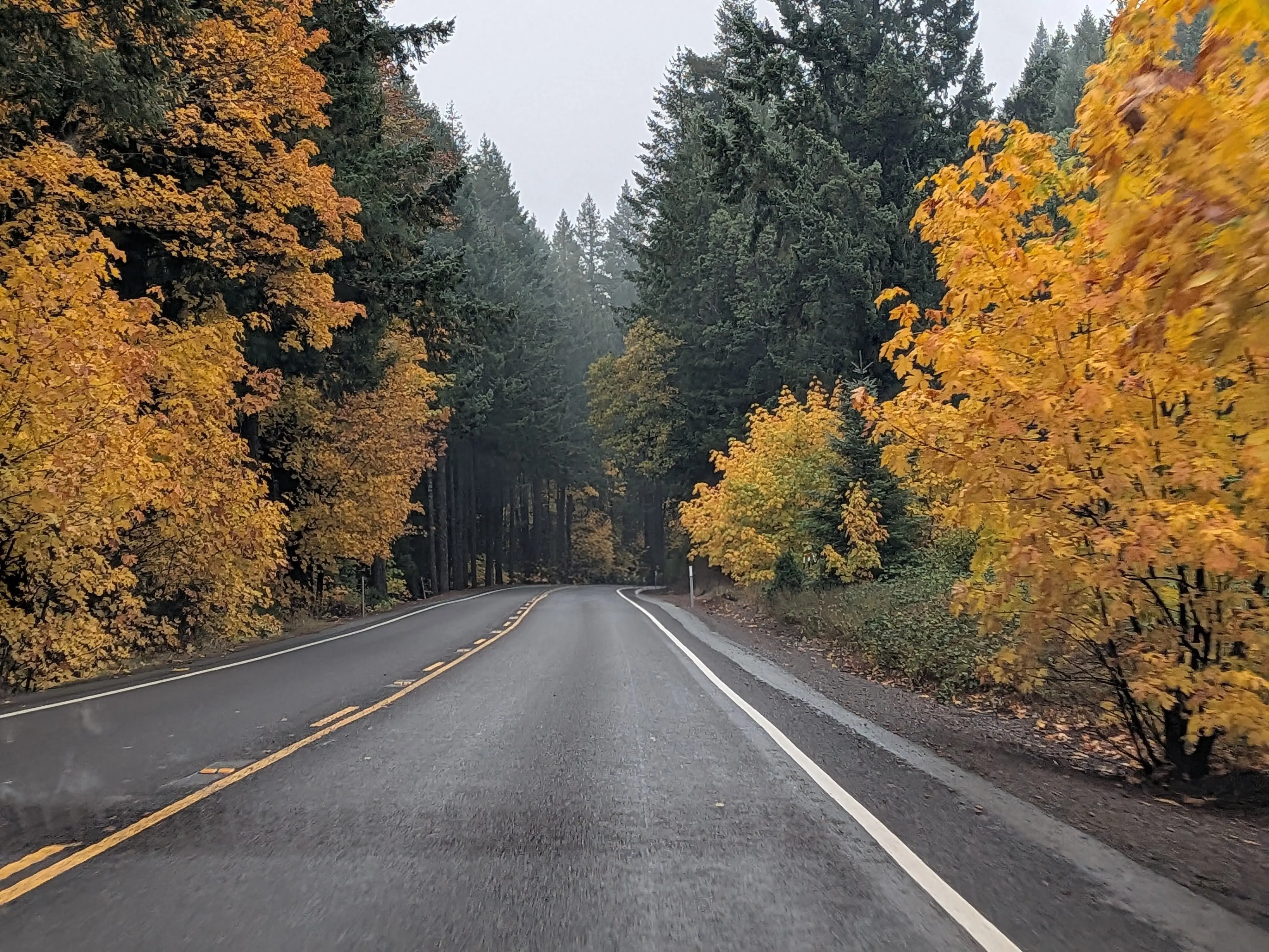 Living in Cave Junction, Oregon