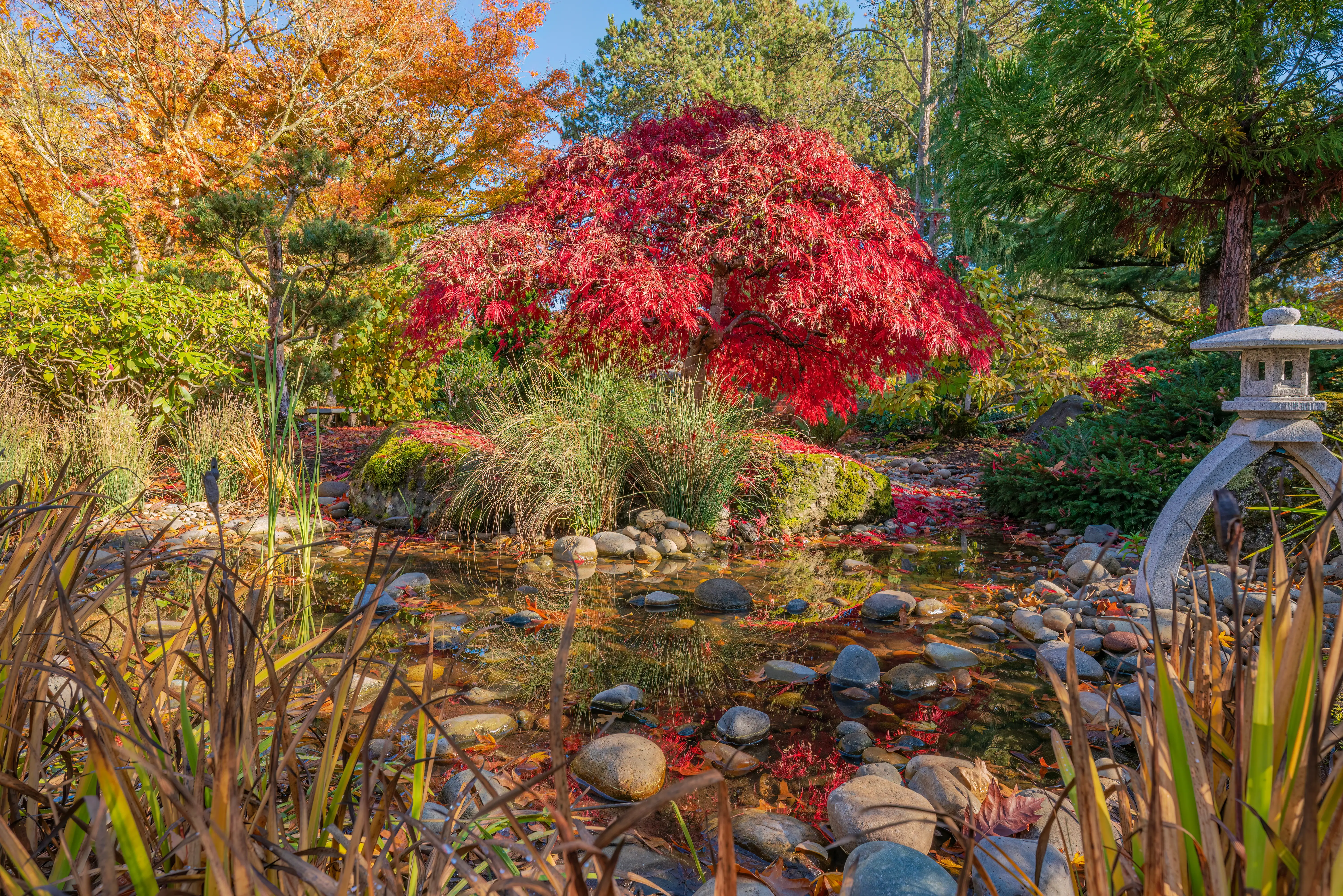 Gresham Oregon suburban park