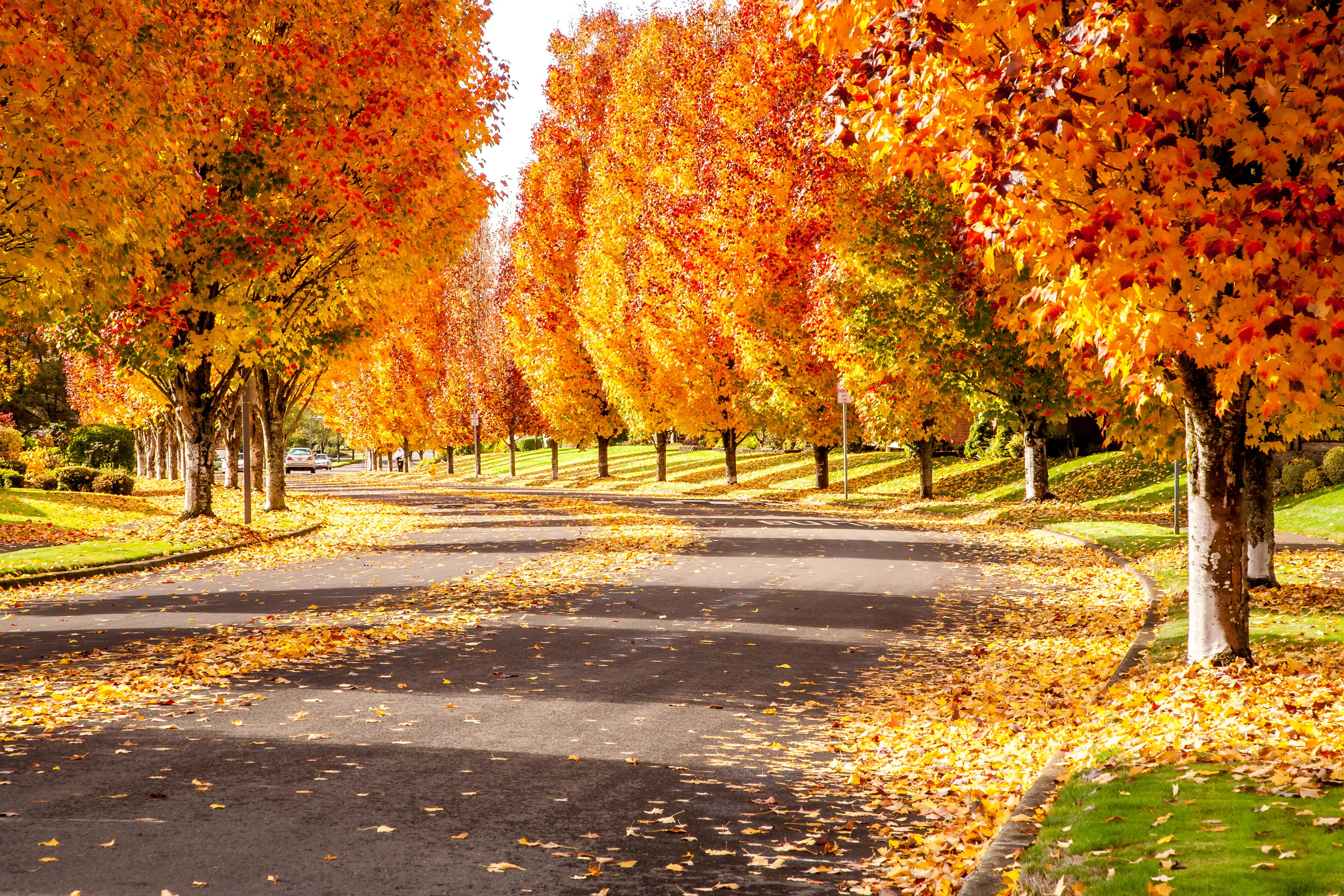 King City, Oregon