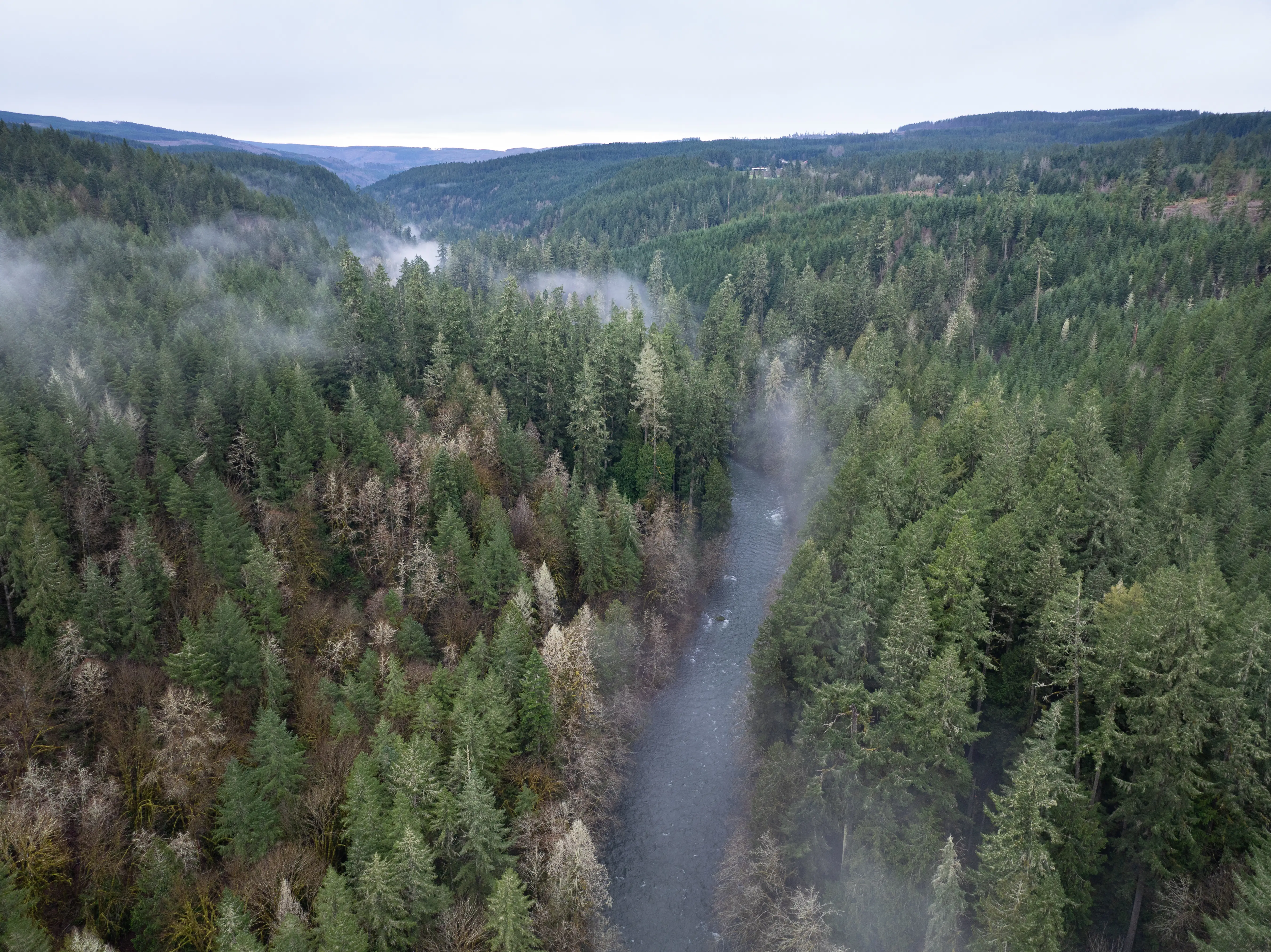 Molalla Oregon rural small town Cascades