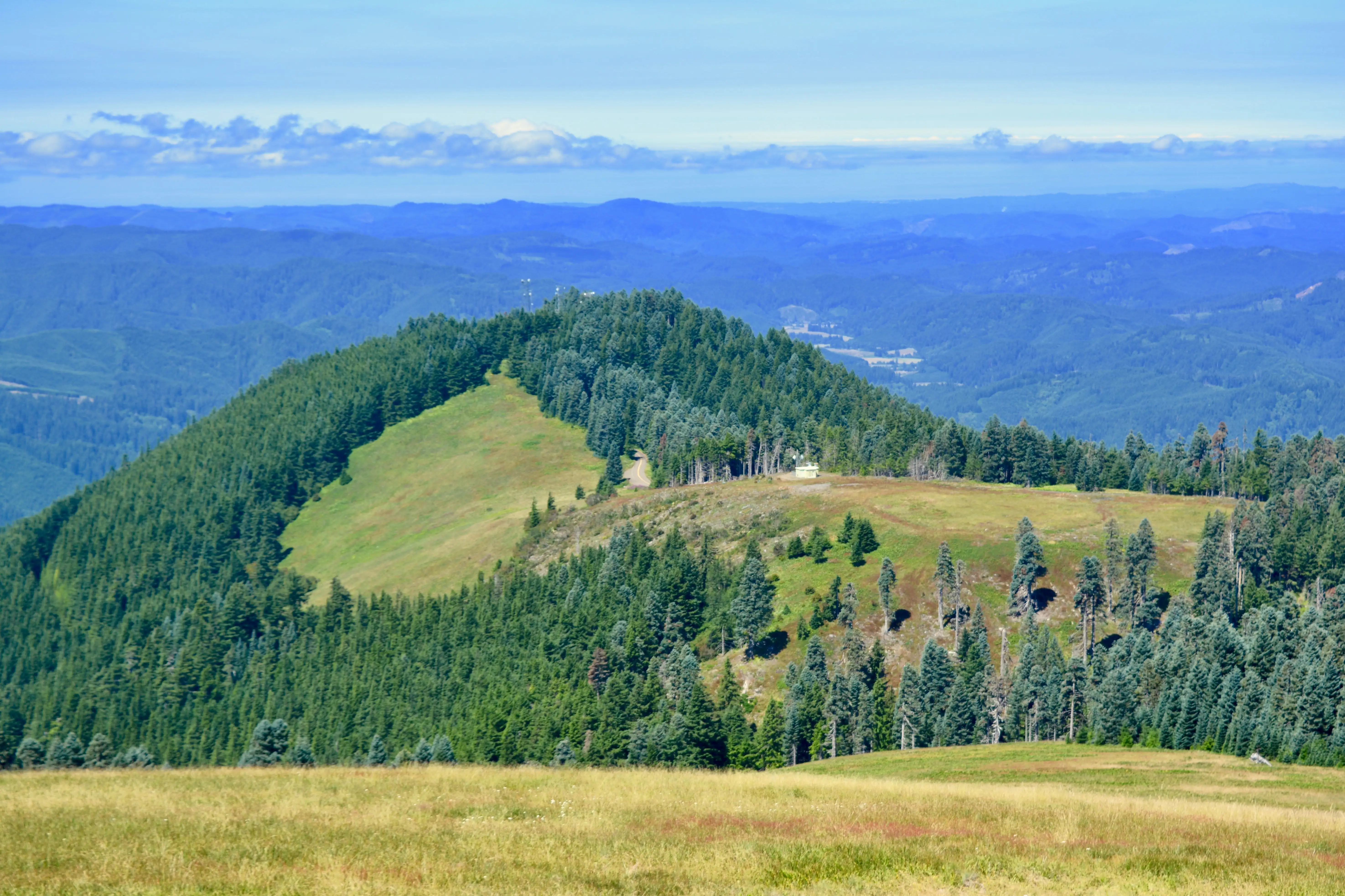 Living in Philomath, Oregon