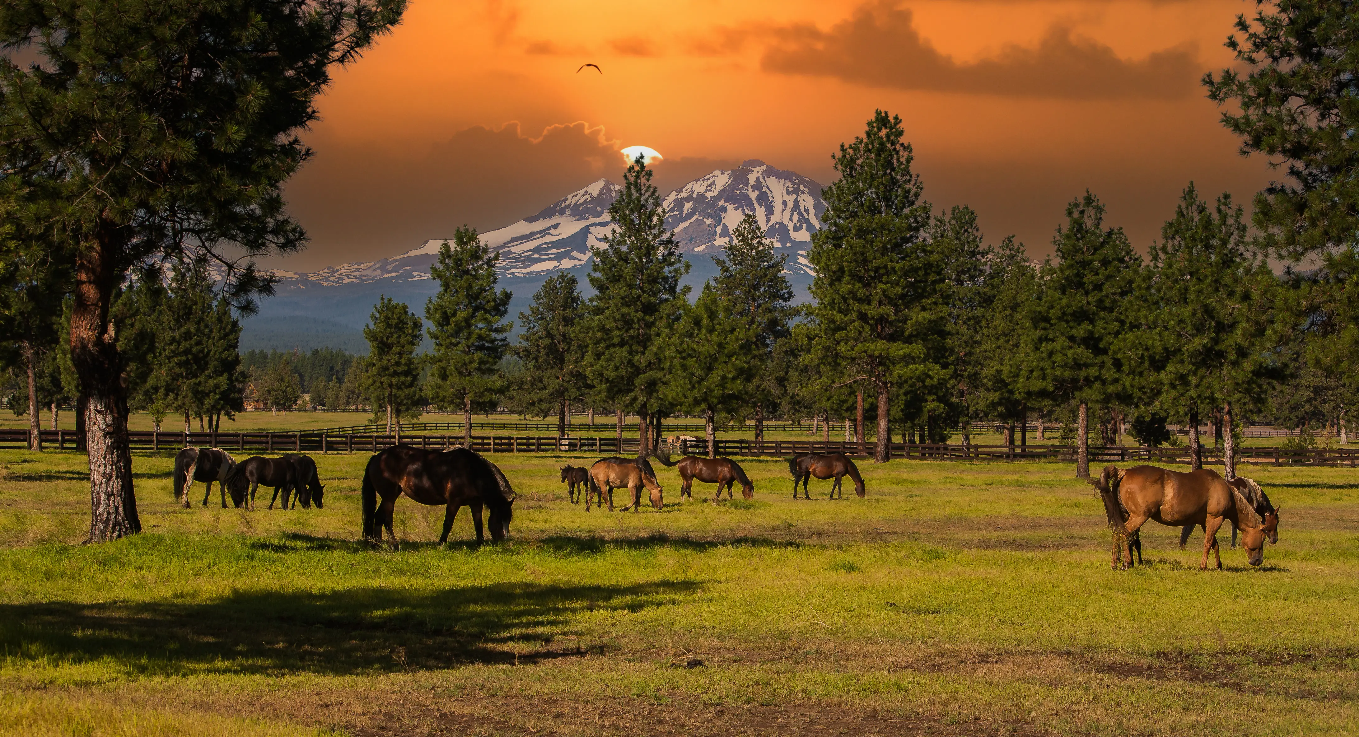 Living in Sisters, Oregon
