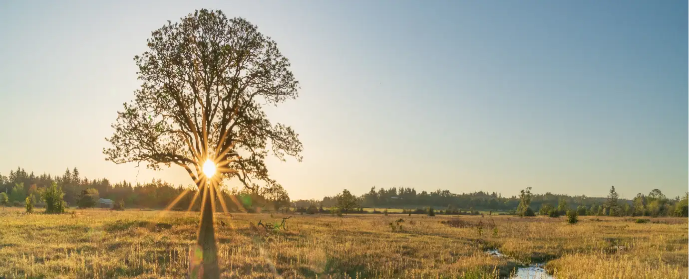 Stayton, Oregon