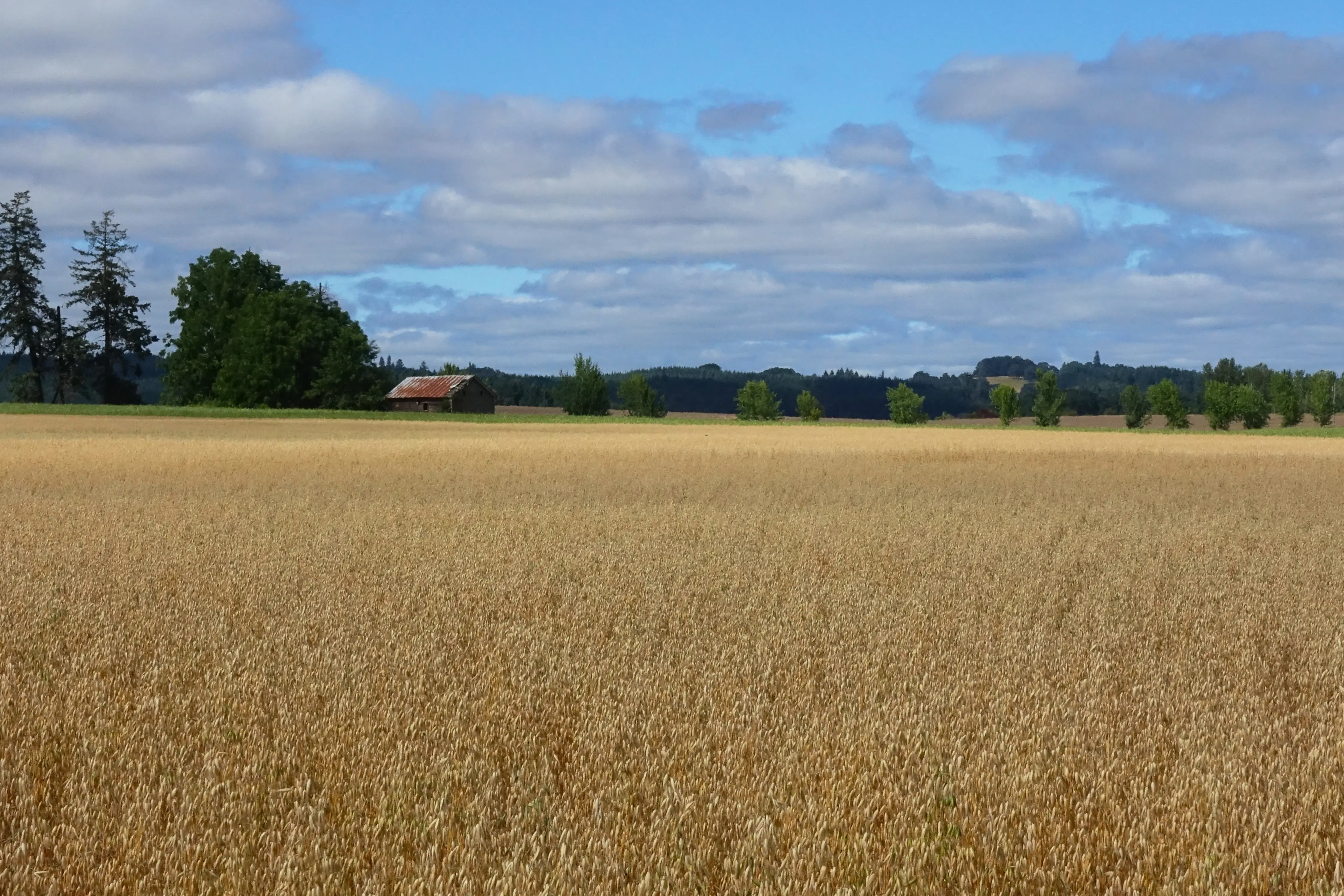 McMinnville, Oregon