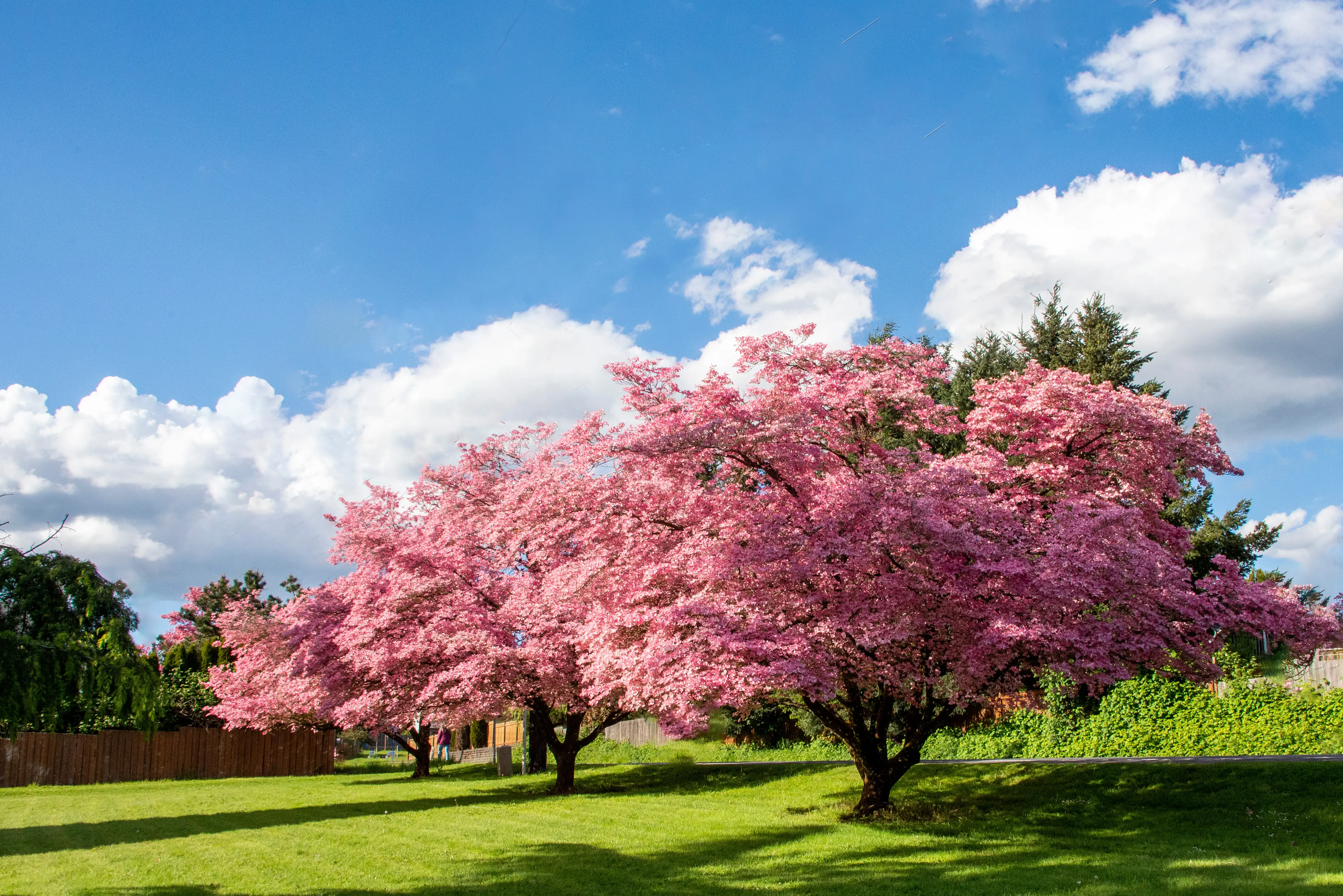 Milwaukie, Oregon