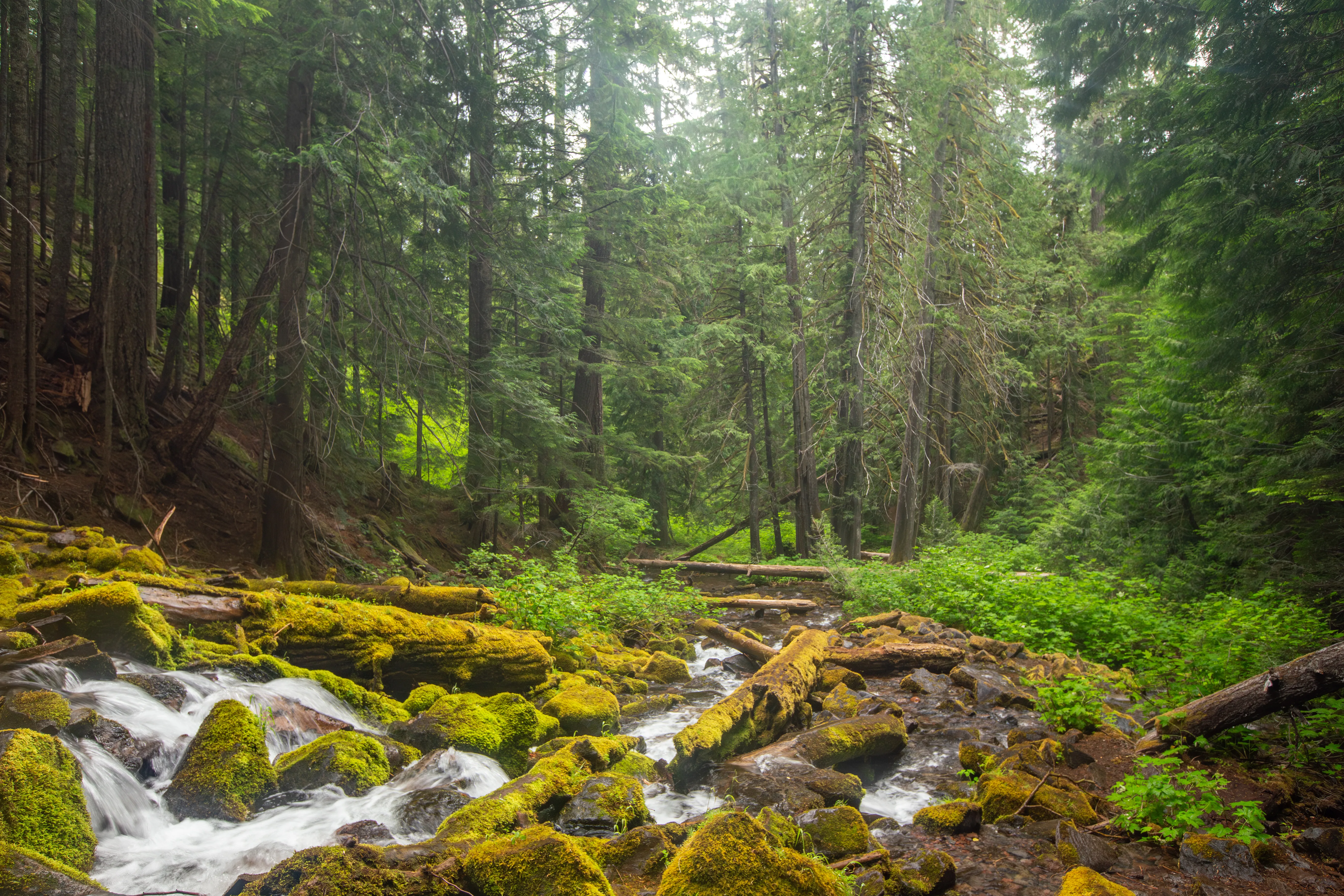 Oregon City, Oregon