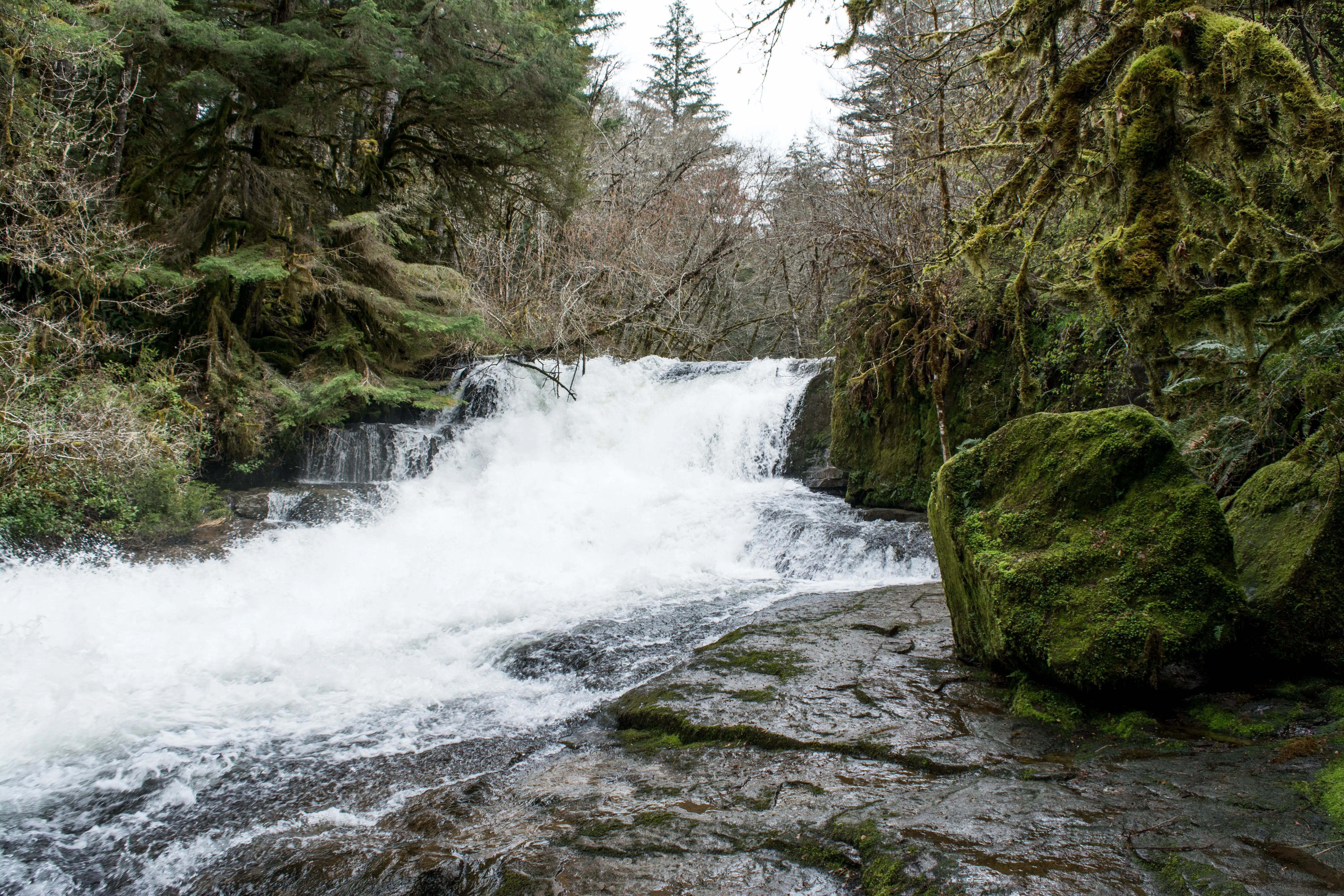 Philomath, Oregon
