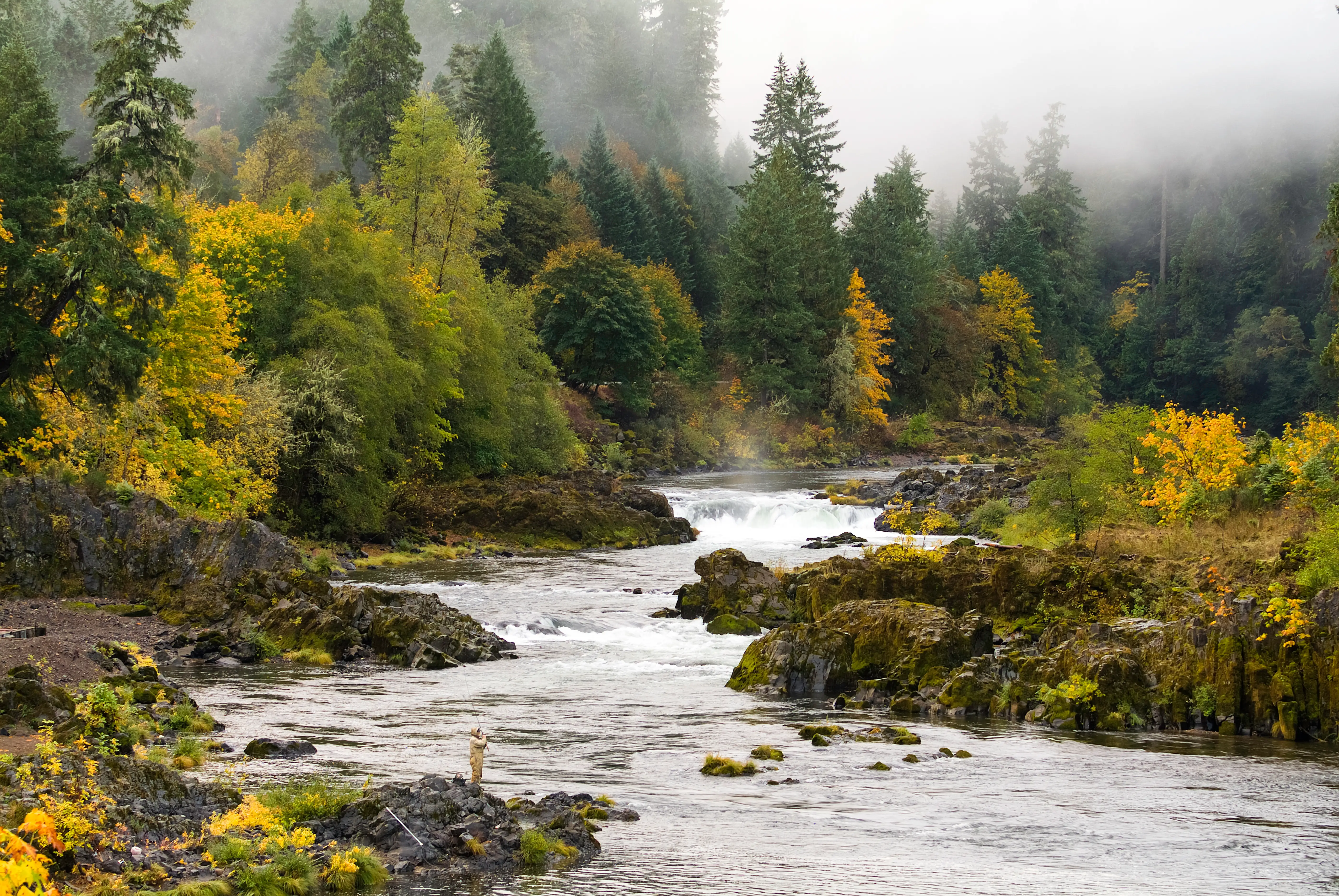 Roseburg, Oregon
