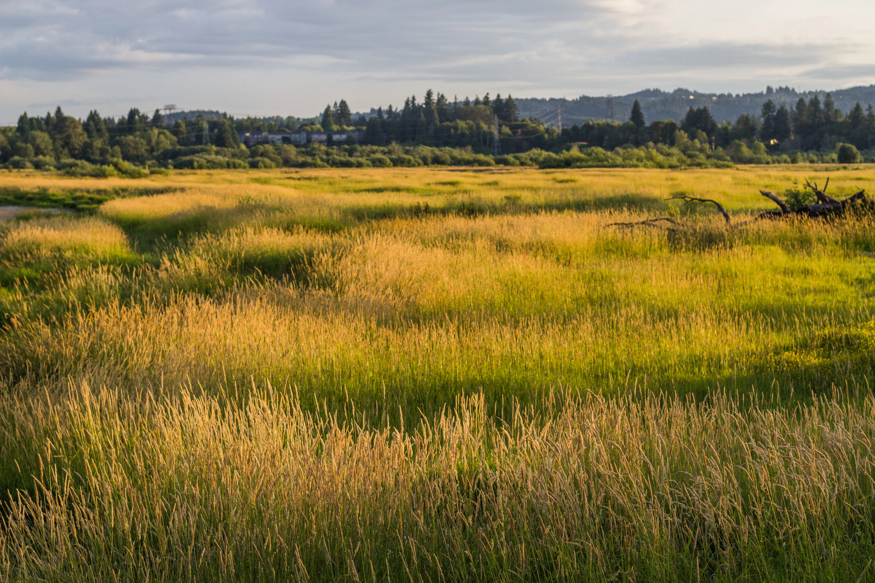Sherwood, Oregon
