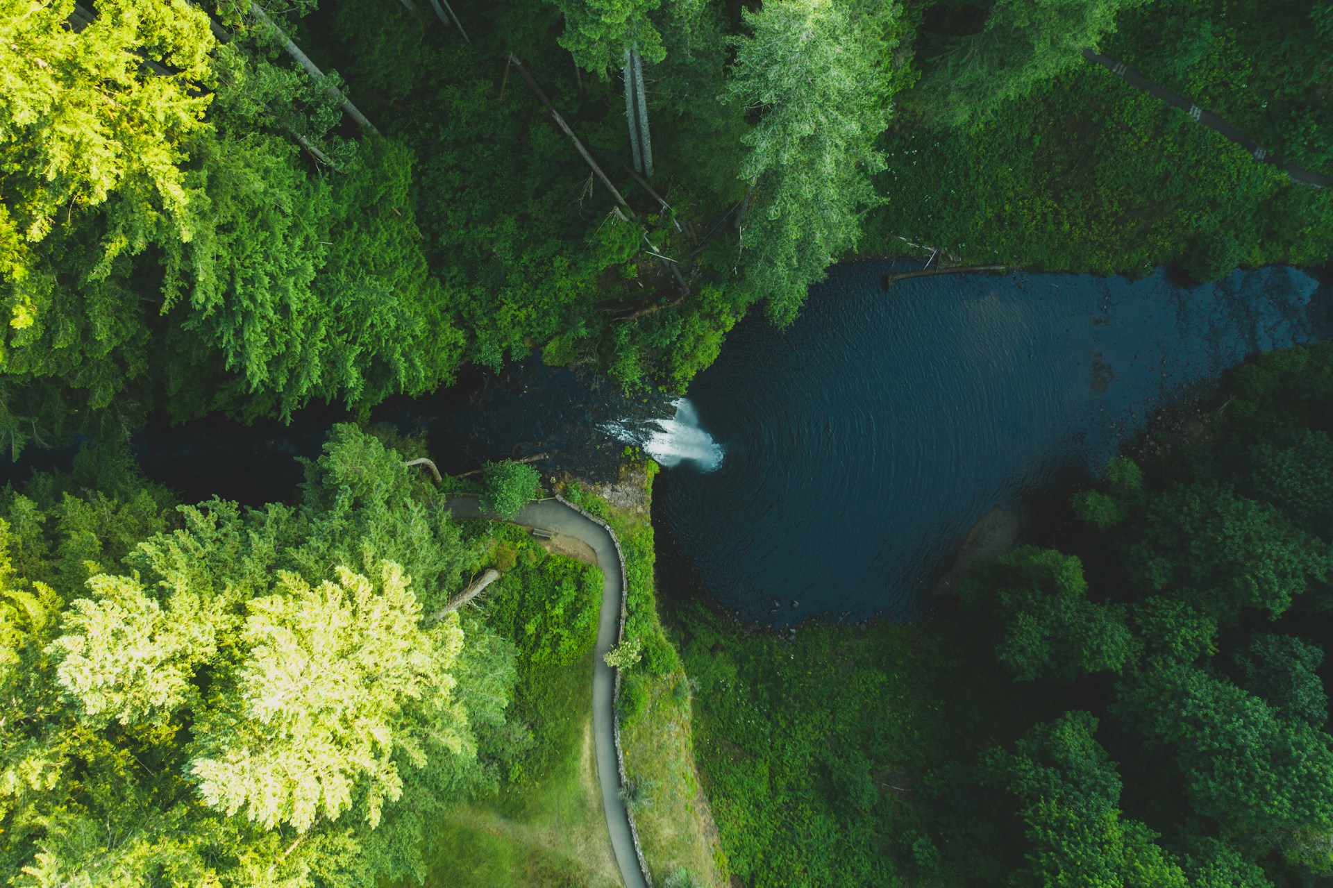 Silver Falls State Park near Silverton Oregon
