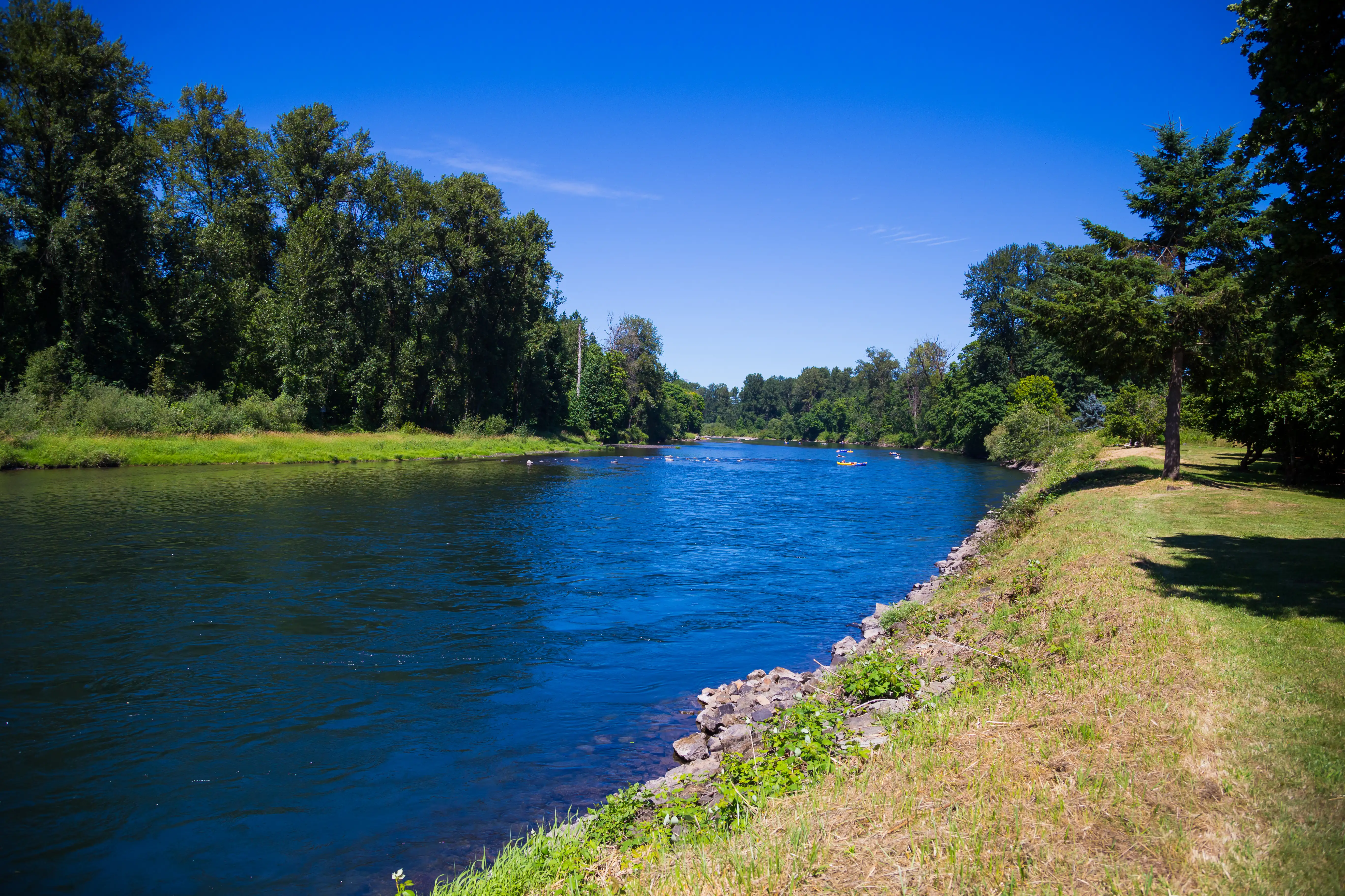 Springfield, Oregon