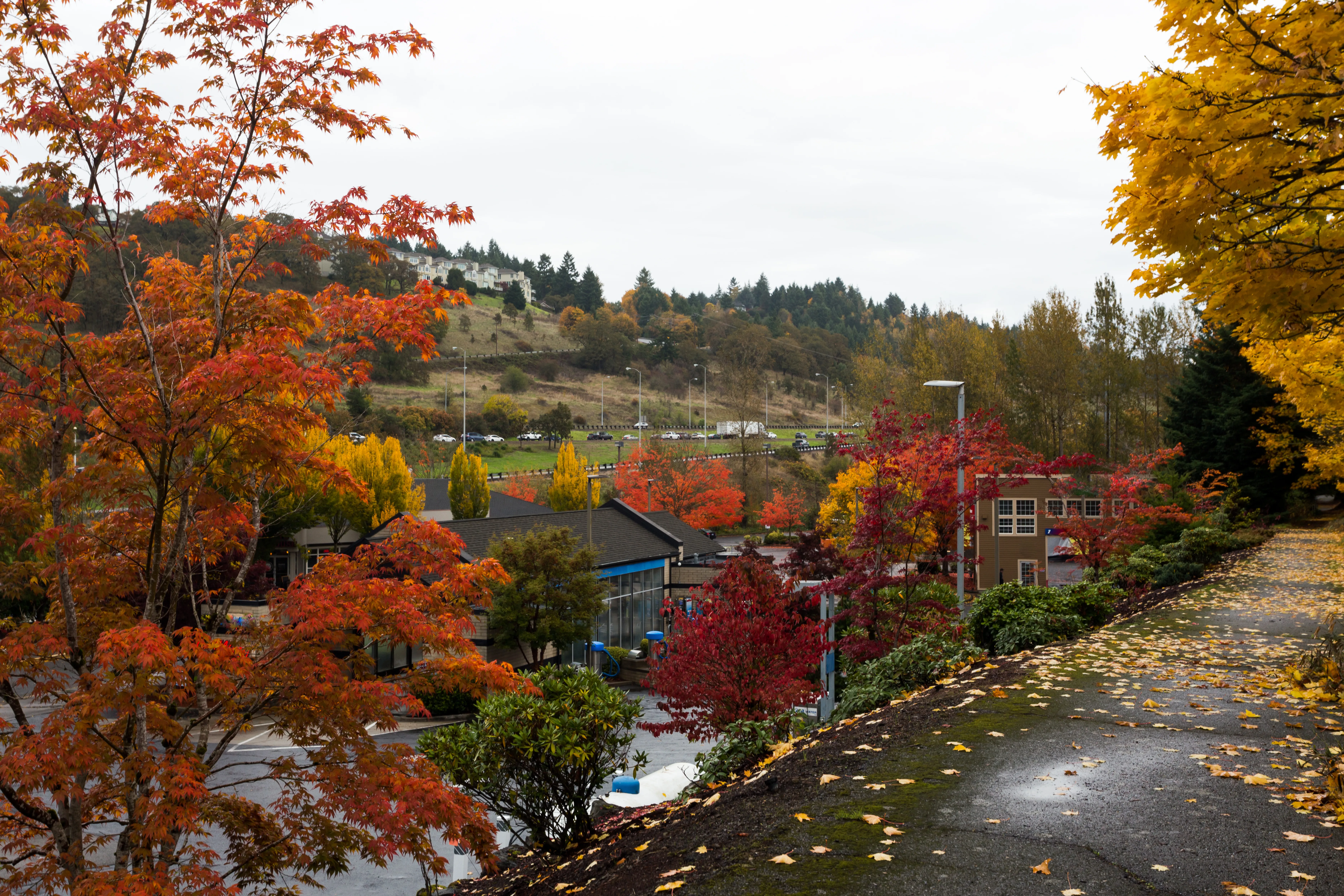 West Linn, Oregon